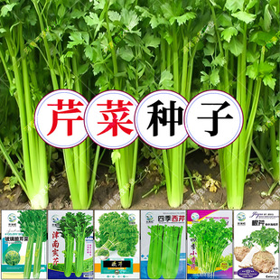 ���ό����������w�S�ٌ����|�ش��ۚ�ζ�������������WС�����ѷN