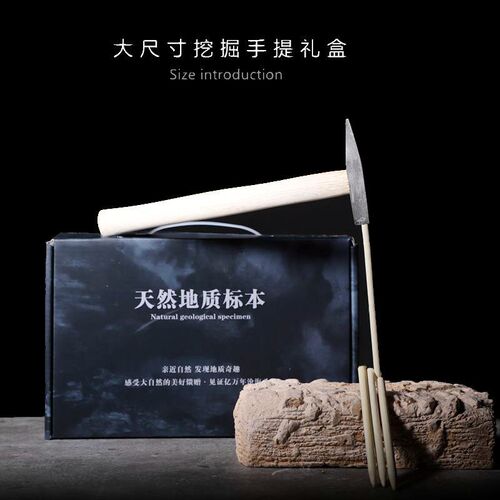 Ore archaeological excavation blind box mineral crystal crystal rock fossil specimen teaching specimen raw ore children's gift