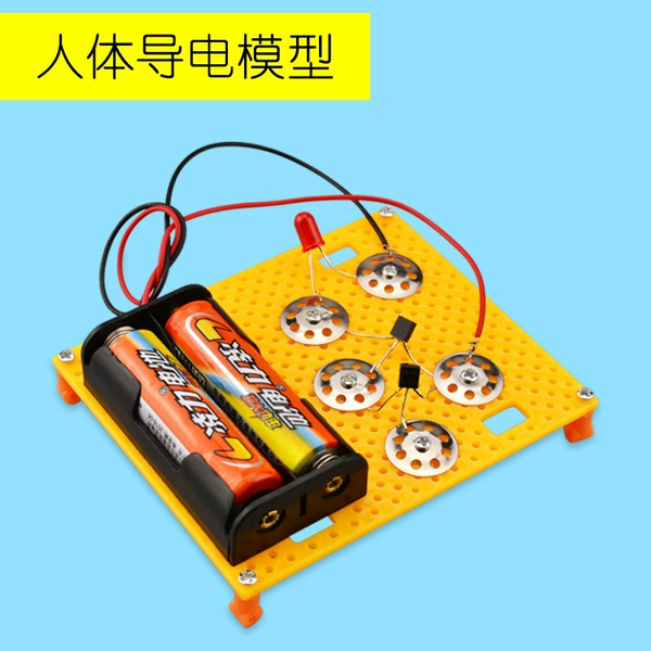 Human conductive model