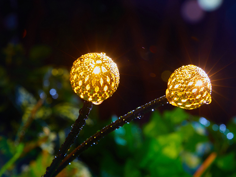 1ff95ead-76f9-4c77-bcea-78ffd1