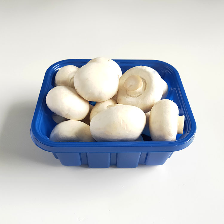 pet蓝色一次性吸塑塑料食品包装盒食用菌双胞蘑菇果蔬生鲜托盘