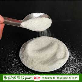 厂家供应净水絮凝剂 水处理聚丙烯酰胺PAM 污水沉淀剂