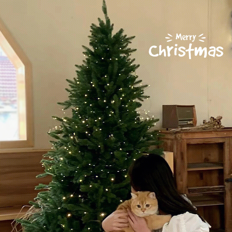 2025 nuevo árbol de Navidad de PVC decoración doméstica diy decoración de Navidad de simulación grande al por mayor