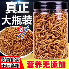 面包虫干仓鼠粮食用品乌龟粮食宠物主粮小零食饲料刺猬粮食黄粉虫