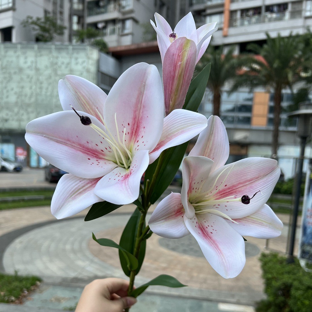 Simulación del Día de San Valentín rosa fabricante 3 sola rama multi-cabeza rosa decoración de la boda flor falsa al por mayor