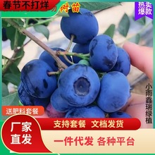 һ�����l�{ݮ������ش��{ݮ������Թ����̨�ϱ����Nֲ�����۾G