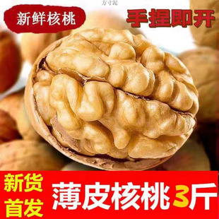 24���½��a��������ҽ��}����ζ��Ƥ���҃�ͯ��ʳ�������