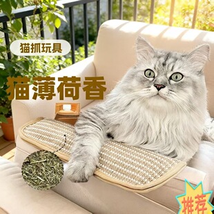 �羳؈����ָ����؛������ĥ��ĥצ�≺���鱧�����a�S��������l