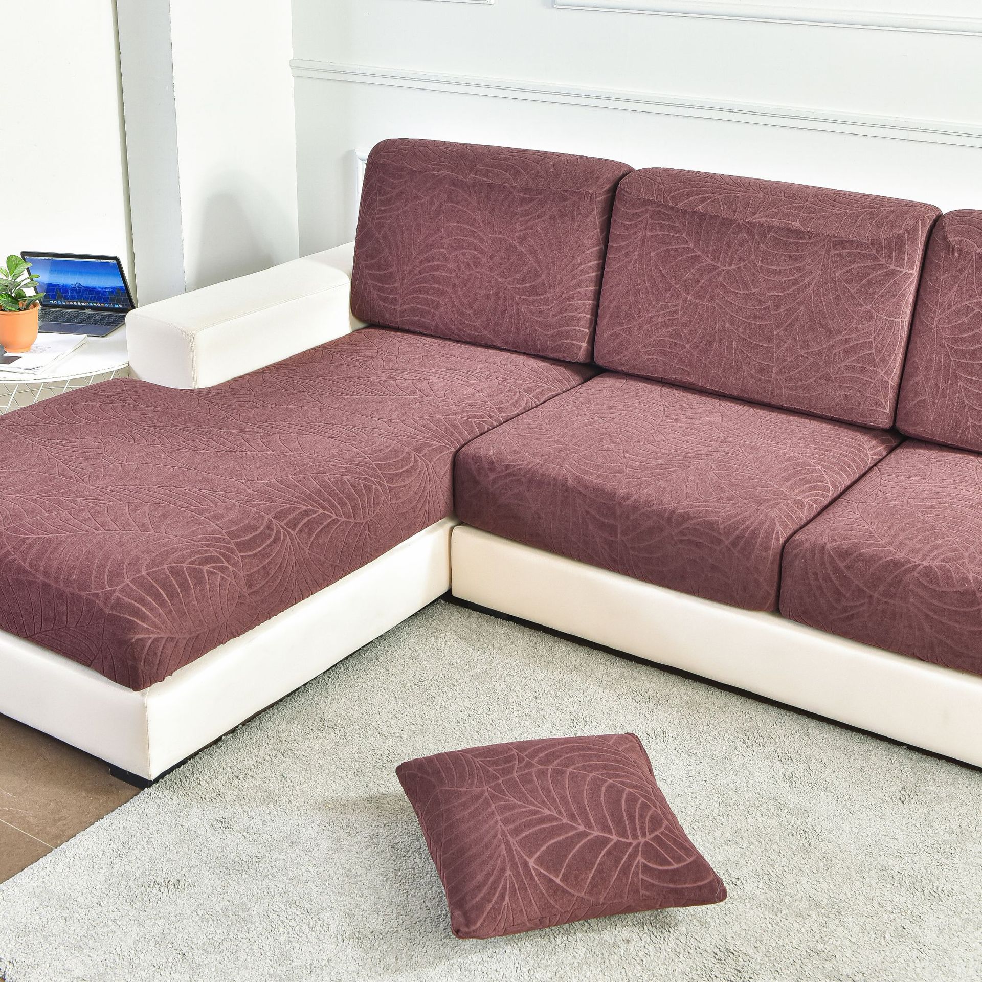 DSC_8585立派摄影 (4).jpg