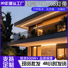 220v�ƴ�led�������ÿ�������������ճ���ԵƷ�ˮCOB��������Χ��