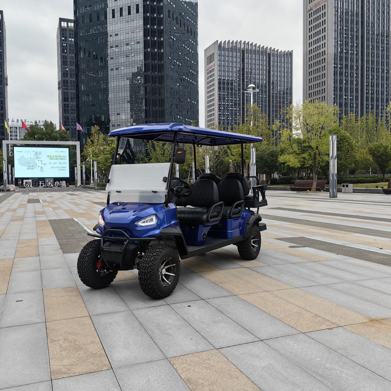 4-6 Seat Electric Golf Cart/Hotel Reception Car/Sightseeing Car