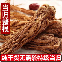 整根当归甘肃岷县当归片无硫熏非正材500g材干货