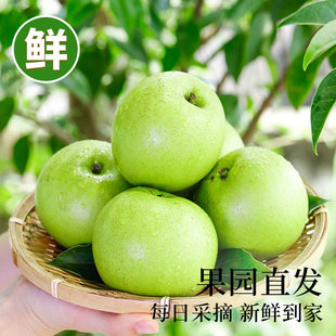 �ӱ��ʹ���5/9�����rˮ���G�ʹ���������֭�a��ֱ�l��������