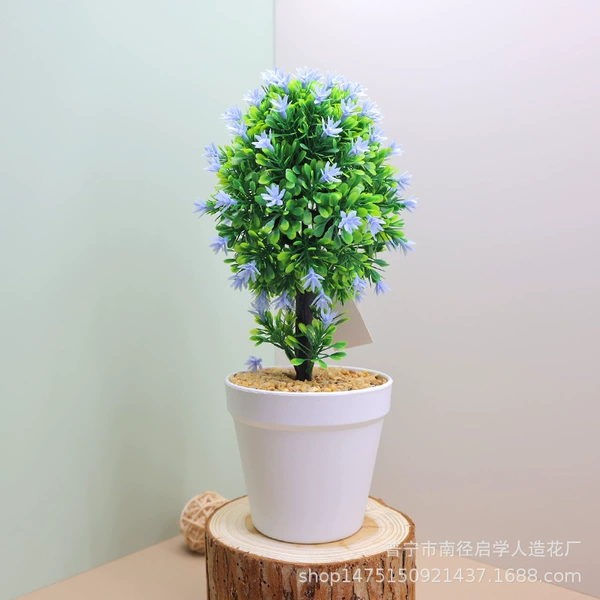 【Orchid Tree Blue】
