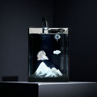 �����L�𾧳��ײ������~�׌��鶷�~����r�Є�������ˮ��ѩɽ�쾰