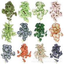 �젝�b���Gֲ��G�~�ڒ�����ֲ��廨�쾰�~�Ӽ⺣�������~