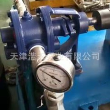 一体轴承齿轮泵TDCBS 柴油 机油 沥青 树脂 粘油渣油 胶水齿轮泵
