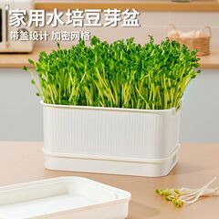 特大苗トレイ、植え付け・発芽ポット、黄緑豆もやし、無土壌栽培、水耕もやしトレイ、もやし栽培ツール