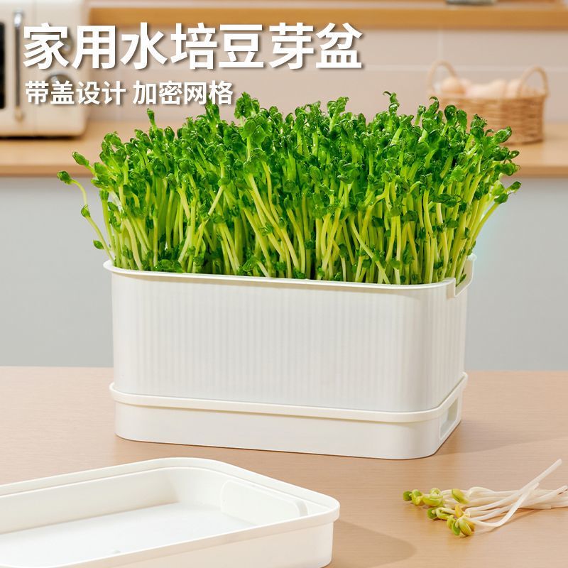 特大苗トレイ、植え付け・発芽ポット、黄緑豆もやし、無土壌栽培、水耕もやしトレイ、もやし栽培ツール|undefined
