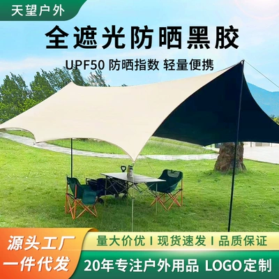 Camping Canopy Outdoor Tent Portable Camping Picnic Equipment Black Glue-Coated Silver Sunscreen Butterfly-Shaped Hexagonal Sunshade