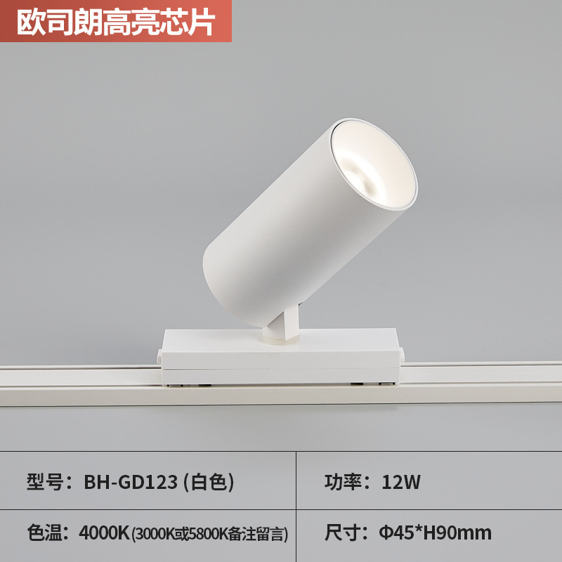 Spotlight 12W (white)  + ¥45.00 