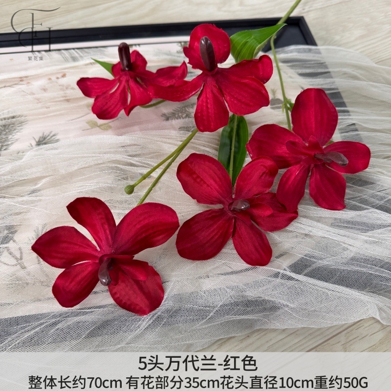 50000 Dailan