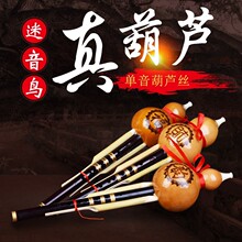 �S�����l���J�z��ֽ��t�ʎ�C�{�������J�z�ؔ����u ���W�ߘ���