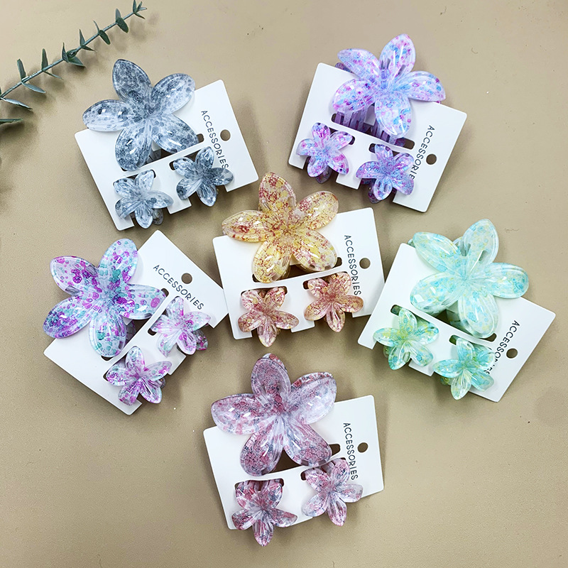 96g Weight Hair Claws Hair Accessories Type 1 Set Quantity Daily Occasion Plastic, Resin Material Plumeria Pattern All Seasons Season Women's Gender Stoving Varnish Design Cute Style Cute Women's Plumeria Plastic Resin Stoving Varnish Hair Claws 6