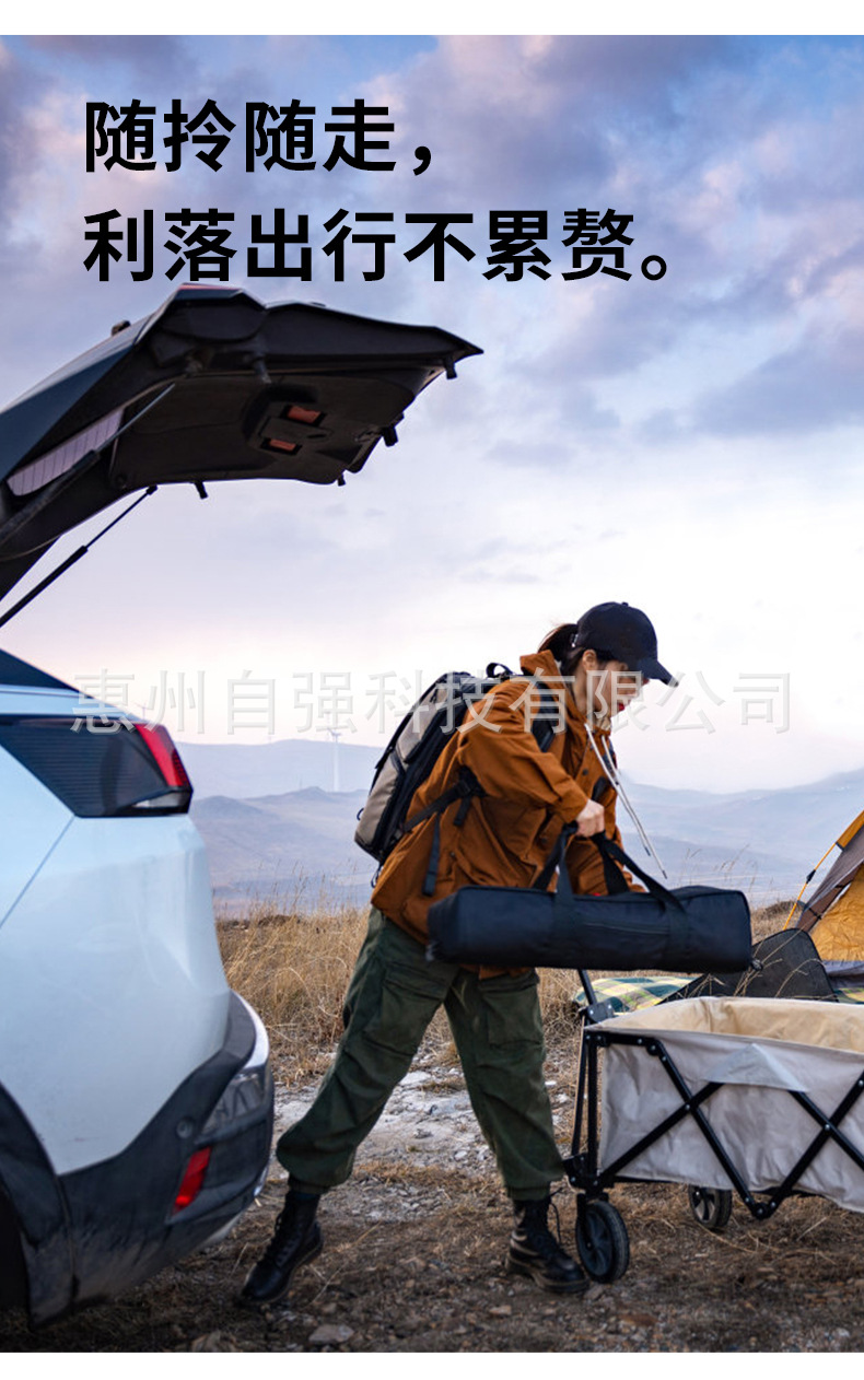 Car Mattress, Rear Seat Foldable Portable Inflatable Bed, Suv Rear Seat Sleeping Pad, Sedan Long-Distance Self-Driving Travel Bed