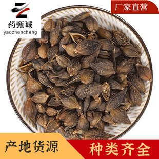�B�N��ș�� ���x�oѬ��o�s�| ���N���N�B�� Դ�^���S����r��