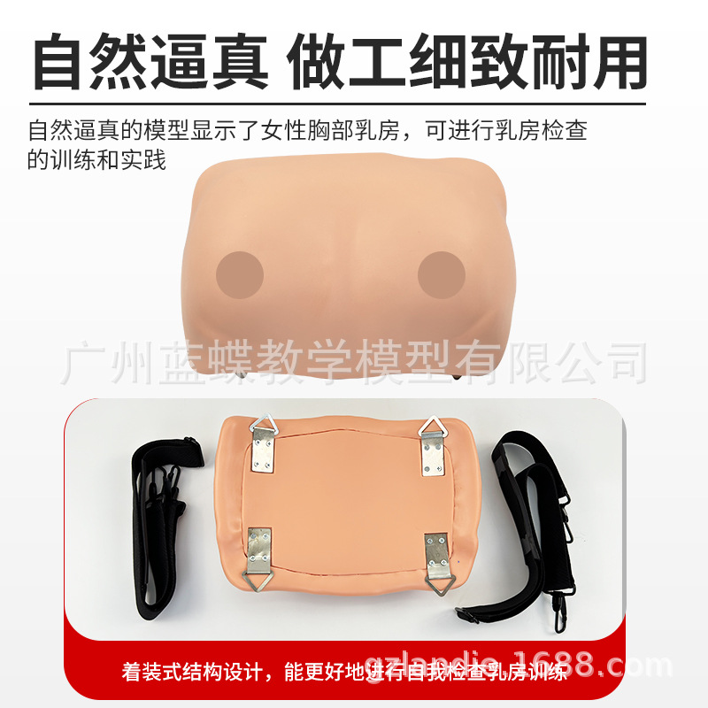 ����ʽ�鷿ѵ�����ģ�� Ů���鷿����ʾ��ʵ�� �Լ커��ģ�߼���