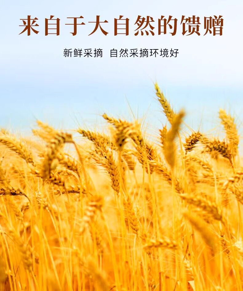 Premium Roasted Barley Sprout Dried Herbal Tea 500g Jar Traditional Chinese Grain Decoction key features