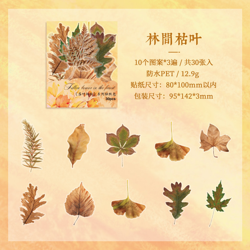 Hojas caídas en otoño impermeable mascotas transparentes pegatinas de tela de mano paquete diy pegatinas de tela de mano materiales vegetales pegatinas de hojas para niños pegatinas de hoja