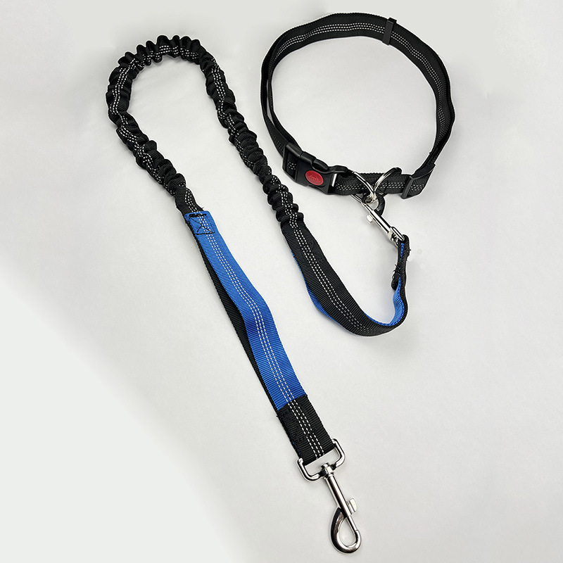 로얄 블루와 블랙