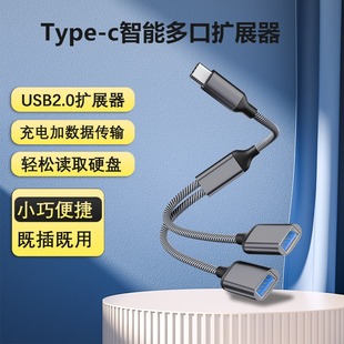 USB分线器一拖二OTG转接线 Type-C扩展坞可充电数据多功能分线器-阿里巴巴