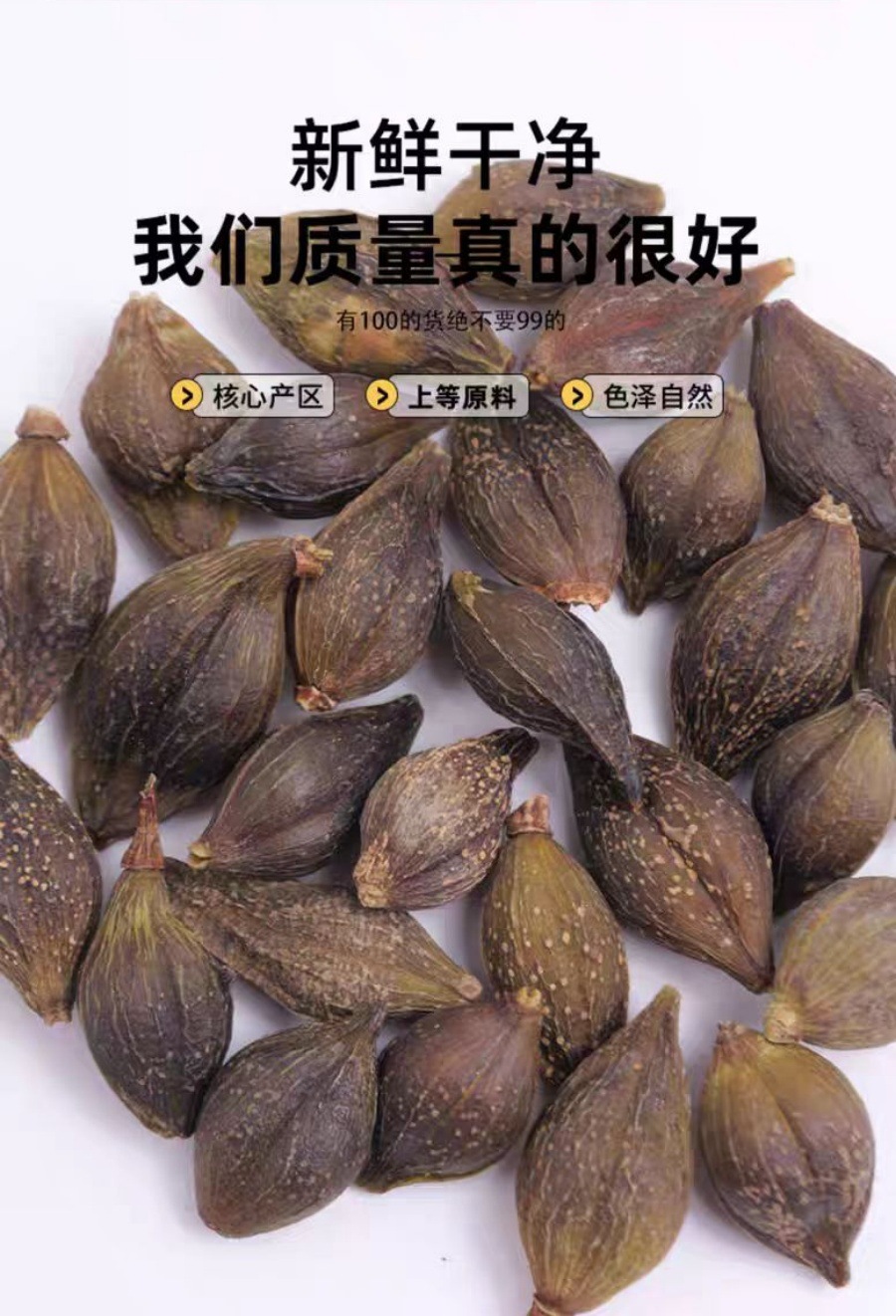 Lian Qiao Powder (Forsythia suspensa) — Dried Food Herb for Tea & Daily Wellness in use