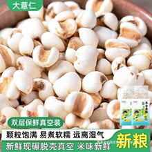 ޲���������F���r��Ŵ��������s�Z��޲���ʳ�С���Ҝ������ݲ�ˮ