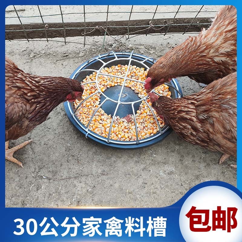 Tanque de alimentación de pollo tanque de alimentación de lechones de cerdo tanque de alimentación de cerdo tanque de alimentación de cerdo tanque de alimentación de cerdo a granel tanque de alimentación de cerdo tanque de alimentación de cerdo