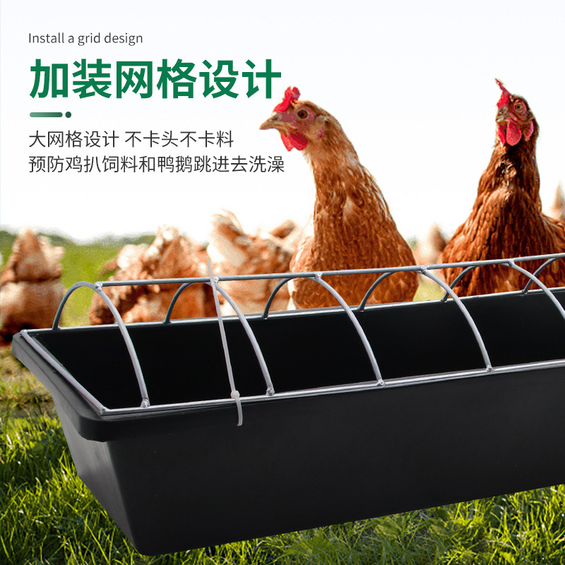 ranura de alimentación de pollo con marco de hierro inferior de tendón de buey, ranura de alimentación larga, ranura de agua de pollo de pollo anti-pisteo, ranura de alimentación alargada