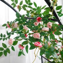 Nޱõ廨ټٻٗlϻ픿{ˮܵړ̨b