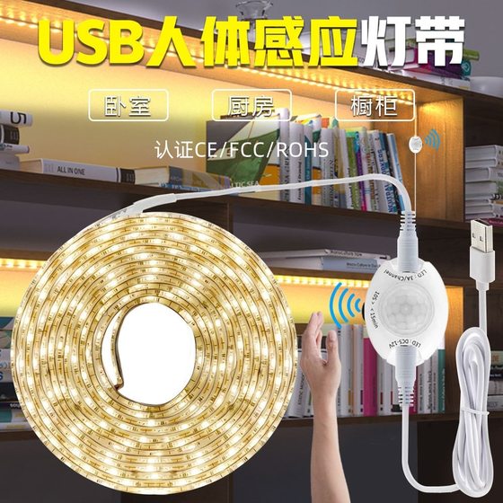 USB intelligent human body induction lamp with set bed bottom lamp 5v2835 light bar LED infrared induction cabinet wardrobe lamp