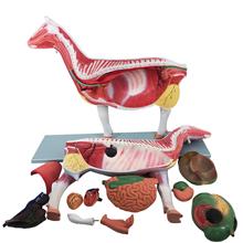 �i�Rţ���u ؈�ù���������ģ�� ƴ�b�ɲ�ж �̌W�������ģ��