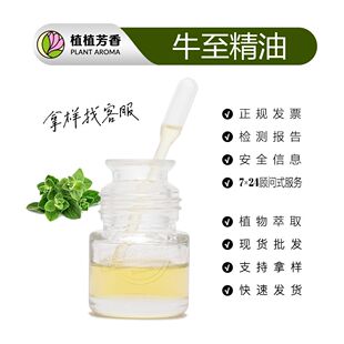 ֲ��ţ���� ���s��ȡţ������ ���۷� Oregano Oil �����F؛���l