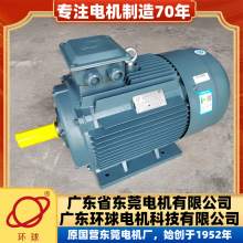 广东东莞环球电机YE4-225M-6-30KW三相节能电动机新国标二级能效