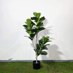 ���Q���l�R��ľ���Ը߷������~���҃Ȕ[�ż٘�Gֲ�ϙ������~