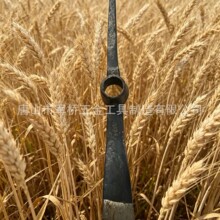 ��������ֶʹ����ͷ�������ڿ�ʮ�ָ��佨�����ظ����ɶ�P402
