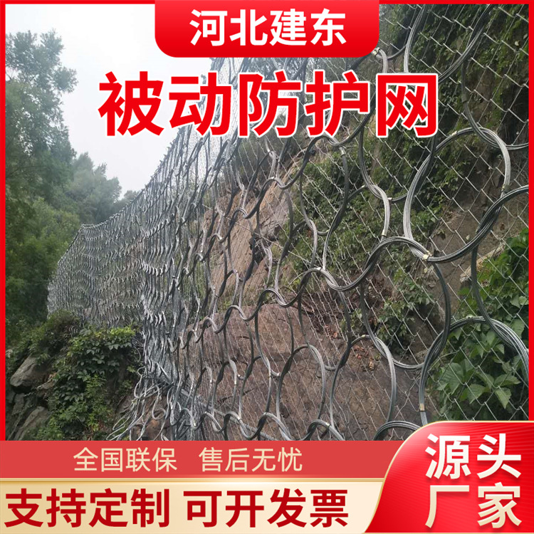 被动边坡防护网 铁路隧道沿线落石RX钢丝绳网 山体滑坡镀锌菱形网