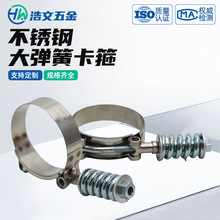 厂家供应304/201不锈钢大弹簧卡箍T型强力抱箍汽车配件水管卡扣