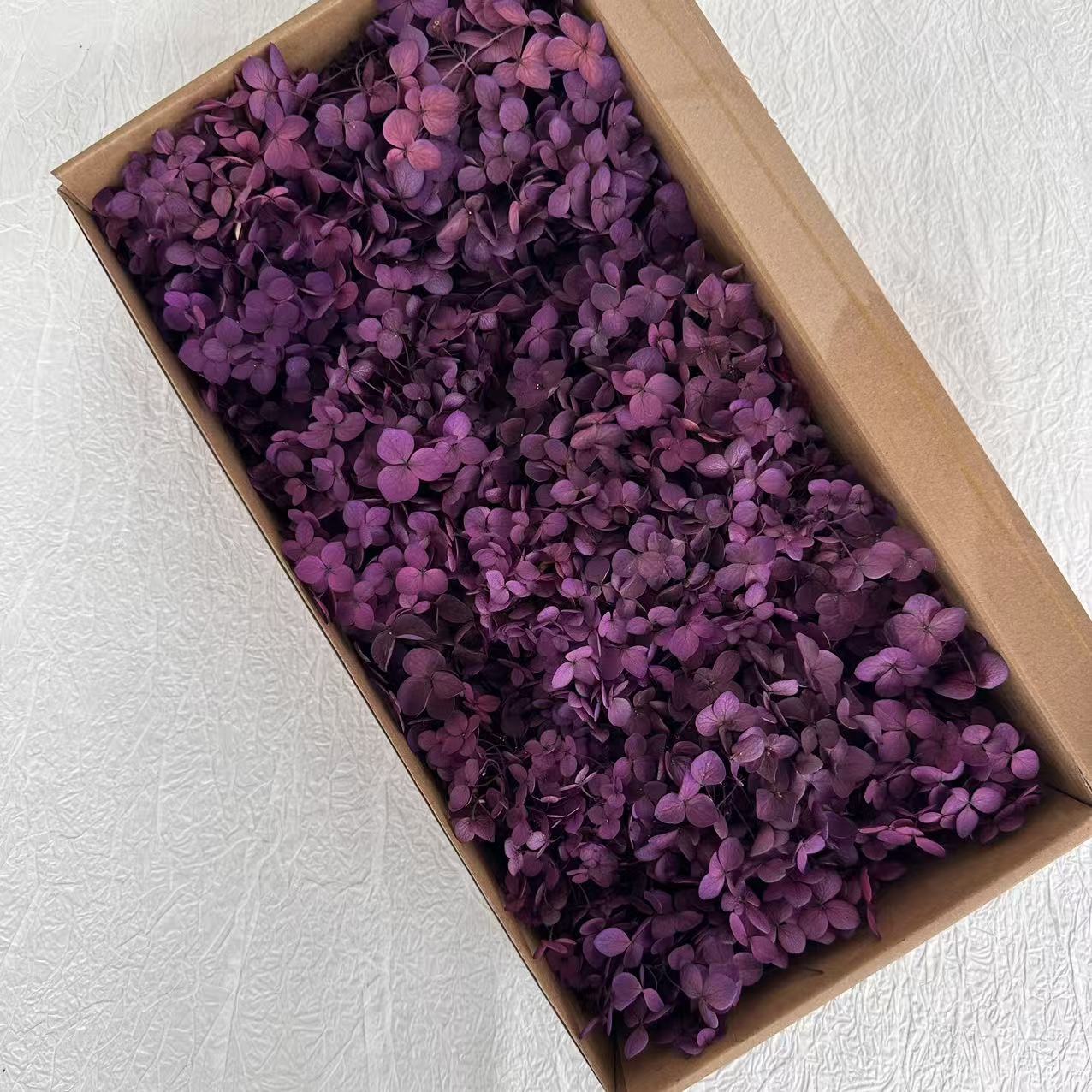 Violet absorbant la couleur / 5G en boîte