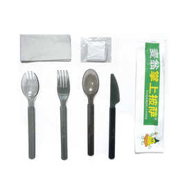 外贸fda ce工厂直供简约便携餐具套装餐饮外卖餐厅聚会派对专用